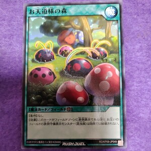 遊戯王 ラッシュデュエル お天道様の森 ノーマル RD/KP09-JP049