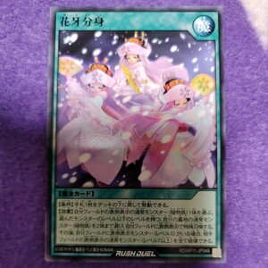 遊戯王 ラッシュデュエル 花牙分身 ノーマル RD/KP11-JP049