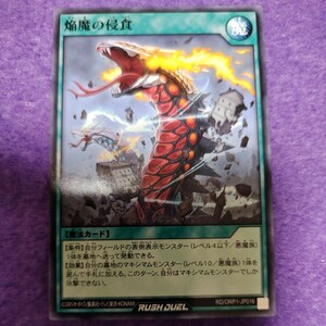 遊戯王 ラッシュデュエル 焔魔の侵食 ノーマル RD/ORP1-JP016