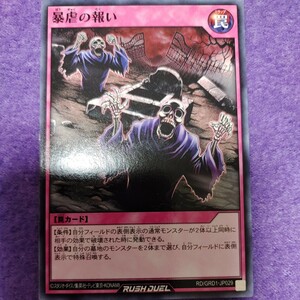 遊戯王 ラッシュデュエル 暴虐の報い ノーマル RD/GRD1-JP029