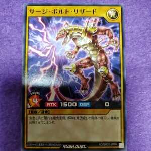 遊戯王 ラッシュデュエル サージ・ボルト・リザード ノーマル RD/GRD2-JP014