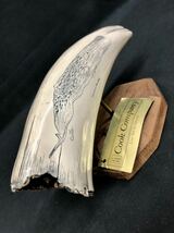 希少 レプリカ牙 彫刻 Sperm Whale G.H.Cook Company マッコウクジラ 海外アート 牙 歯 置物 レトロ_画像2