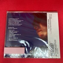 新品未開封 /杉山清貴 / 彼方からの風 / 見本盤 CD_画像2