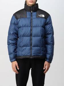 新品 正規品 EU/USA限定 日本未発売 The North Face ノースフェイス R.D.S認証 700フィル スタンド フルジップ ダウンジャケット