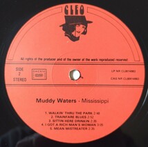 Muddy Waters Mississippi/1980年オランダ盤Cleo CL 0014983 Red Label_画像4