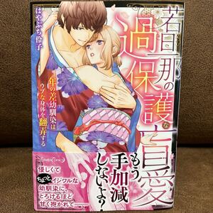 新刊☆はやぶち伶子『若旦那の過保護な盲愛 年の差幼馴染はウブな身体を翻弄する』 ルネッタコミック