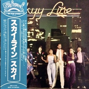 ◆帯付美盤◆ガラージ/ダンクラ◆Salsoul◆SkyyLine◆Larry Levan(Paradise Garage)