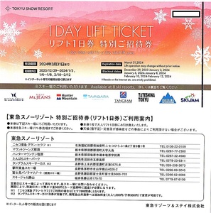 東急リゾート　リフト１日券　1枚　2024年3月末迄有効（2/10~12除）　ニセコ東急・富士見パノラマ・那須・塩原・タングラム・勝山