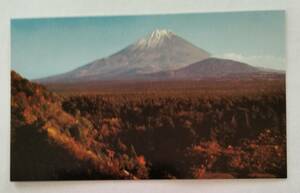 絵葉書　富士山　青木ヶ原の樹海　　　　　　　　　　　　　　　　　　　　　　　　　　　　　　　　　　　　