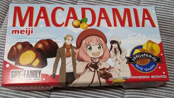 SPY×FAMILY 明治チョコレート コラボデザイン箱 3種類3個 バラして折りたたみゆうパケットポストで発送