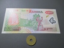 未使用　ザンビア　2005年　ポリマー1000クワチャ_画像2