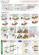 ◆日本の季節をペンで彩る塗り絵コレクション◆キット◆桜舞う春の渡り船◆水彩画風◆掛け軸◆アーティストブラシ_画像5