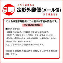 定形外 送料無料 トヨタ ランドクルーザー プラド 78 系 後期用 クリスタル サイドマーカー ランプ 左右セット ウィンカー ランクル_画像6