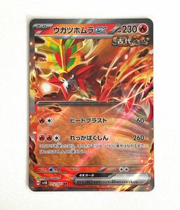 ポケモンカード ウガツホムラex RR ワイルドフォース sv5K