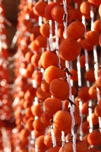【新物】■山形県産　干し柿　紅柿１６個入（４個×４袋）Lサイズ