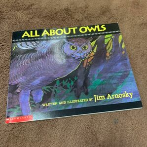 洋書　絵本　梟　フクロウ　イラスト　ALL ABOUT OWLS