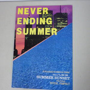 杉山清貴＆オメガトライブ Never Ending Summer / Concert Tour 84-85 Summer Sunset File-2nd パンフレット