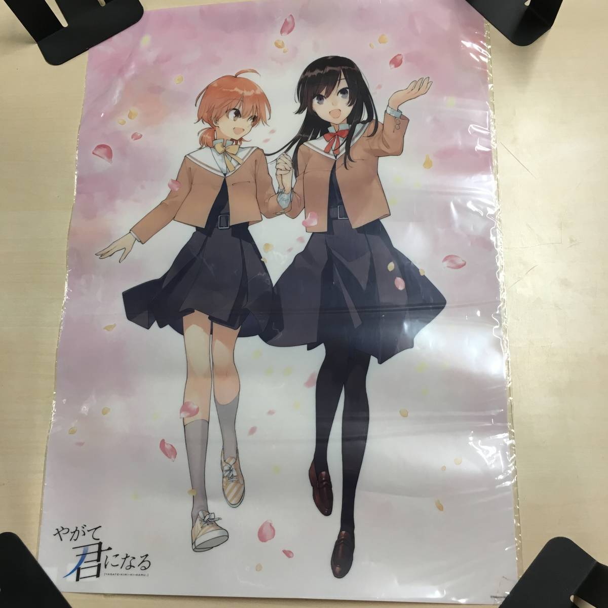 2024年最新】Yahoo!オークション -やがて君になる画集 アストロラーベ 