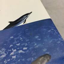 ◆大哺乳類展 海のなかまたち 国際生物多様性年 本 図鑑　【24/0131/01_画像3