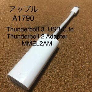 Apple Thunderbolt 3 USB-C to Thunderbolt 2 Adapter Model: A1790 Thunderbolt アダプタ アップル MMEL2AM 