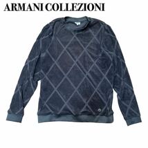 ARMANI COLLEZIONI アルマーニ トップス トレーナー グレー タオル生地 S_画像1