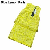 Blue Lemon Paris ノースリーブ ワンピース ドレス 花柄 刺繍 レース 黄色イエロー 40 L タグ付き_画像1