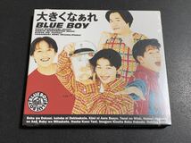 #11/新品未開封/ BLUE BOY(ブルーボーイ)『大きくなぁれ』/ 初回限定盤スリーブケース仕様CD、村上孝治、伊藤良太_画像1