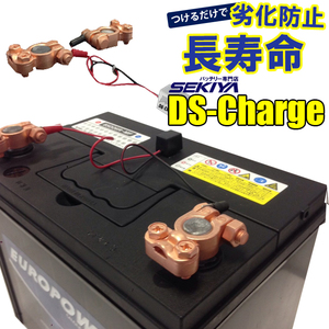 バッテリー 自動再生 超小型パルス DS Charger 2個セット バッテリー交換不要 バッテリーにつけるだけで 寿命が２倍３倍 SEKIYA