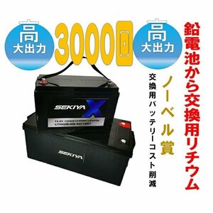 3000 times use possibility lithium battery appearance 200AH lithium battery *2560Wh capacity * height capacity life span 3000Cycle air conditioner . times .. Lynn acid iron battery SEKIYA