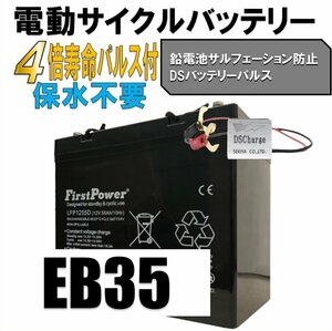 劣化防止パルス付 【西濃営止送料無料】【新品】LFP1255D 55AH EB35ディープサイクル