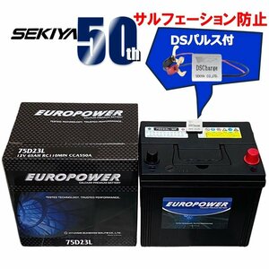 セキヤ、プロが選ぶCＣＡ値最高性能、ＤＳパルス付サルフェーション防止機能付き、【西濃営止送料無料】【新品】EP 75D23L 国産車