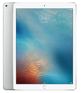 iPadpro 12,9 дюйма 1-го поколения [256 ГБ] Wi-Fi Model Silver [дешево ...