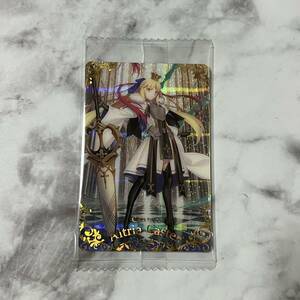 Fate/Grand Order FGO ウエハース ツインウエハース 特別弾 ホログラム 箔押し カード CLASS キャスター ST16 アルトリア・キャスター