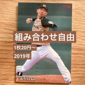 組み合わせ自由　1枚20円〜　カルビー　プロ野球チップス　2019年