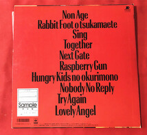 超美盤《貴重見本盤》白井貴子 takako shirai &CRAZY BOYS RASPBERRY KICK ラズベリーキック　LP レコード （F1)_画像2