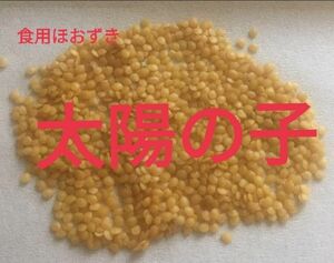 食用ほおずきの種 「太陽の子」 固定種 無農薬