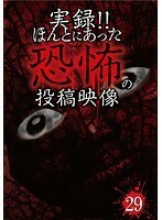 【中古】《バーゲン30》■実録！！ほんとにあった恐怖の投稿映像 29 b47049 j33【レンタル専用DVD】