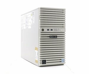 NEC Express5800/T110i Xeon E3-1220 v6 3GHz 16GB 500GBx2台(SATA3.5インチ/RAID1構成) DVD-ROM MegaRAID MR9362-8i 1G