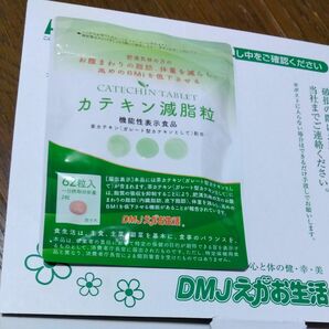 DMJえがお生活 カテキン減脂粒 1袋