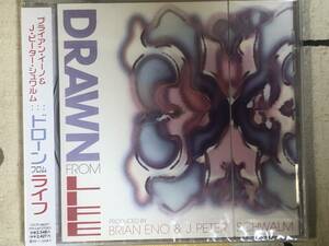 ★非売品★未開封★CD BRAIAN ENO&J.PETER SCHWALM/ブライアンイーノ＆Ｊ.ピーターシュワルム「DRAWN FROM LIFE」 japan mint sample 