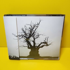 ※新品ケース交換済み　SEKAI NO OWARI 2010-2019」SEKAI NO OWARI　CD