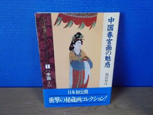 【図録】エロティシズムの美術史 中国春画の魅惑