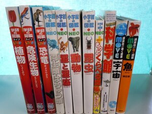 【図鑑】《まとめて11点セット》学研の図鑑LIVE/小学館の図鑑NEO/講談社の動く図鑑Move/昆虫/恐竜/危険生物 他