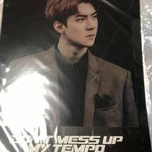 exo EXO Don't Mess Up My Tempo エクソ セフン バインダー インデックス 公式 チャニョル ベッキョン スホ カイ シウミン レイ チェン_画像1