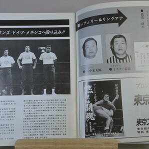 新日本プロレス  サマーファイトシリーズ  パンフレット Hシュミットの画像8