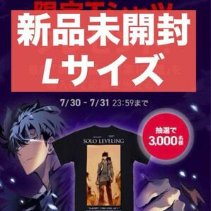 ＼新品未開封／ 俺だけレベルアップな件 限定Tシャツ Lサイズ ピッコマ 水篠旬 向坂雫 非売品 アニメグッズ マウスパッド