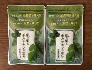 新品 未開封品★和漢の森 桑の葉＆茶カテキンの恵み 120粒（30日分）×2袋★血糖値を抑える 脂肪を減らす 送料無料