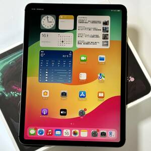 Apple SIMフリー iPad Pro (11インチ) スペースグレイ 256GB MU102J/A Wi-Fi+Cellular iOS17.2 アクティベーションロック解除済