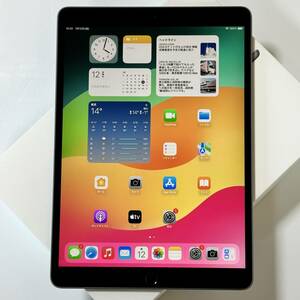 Apple iPad Air (第3世代) スペースグレイ 64GB MUUJ2J/A Wi-Fiモデル iOS17.2 アクティベーションロック解除済