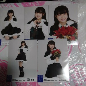 　AKB48　チーム8【大分県代表　山田杏華】netshop限定　2020.11vol.2 5枚セット　生写真 